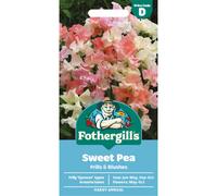 Fothergill's Sweet Pea Frills & Blushes Flower Seeds, 20 Seeds, Sow: Jan-May, Sep-Oct, Pink/White