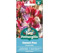 Fothergill's Sweet Pea Seeds 'Incense Mix' - Flower Seeds