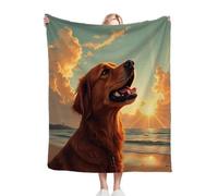 Fotmung Throw Blankets Kids 100x130 cm Beach Yellow Dog, 3D Super Soft Blanket Flannel Throws 130 x 100 cm for All Season, Microfiber Warm Flannel Bed Blanket for Kids Boy Girl A131