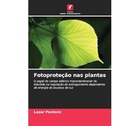 Fotoproteção nas plantas: O papel do campo elétrico transmembranar do tilacóide na regulação do extinguimento dependente de energia do excesso de luz