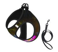 Fotor-Ai-20230806154556_2 Printing Dog Summer Harness With Leash Set,Adjustable And Reflective Step-In Puppy Pet Vest Harnesses