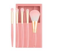 Foundation Powder Brush Set, Travel Size Makeup Brushes, Expert Makeup Brushes, Compact, Portable Design, 11x7.5cm for Allowing You to Carry Your Makeup Things Wherever You Go