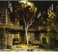 FOUNTAINS OF WAYNE - Sky Full of Holes
