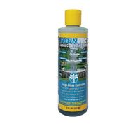 Easycare Algaecide/Clarifier Fountec