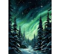 Fountor Starry Sky Paint by Numbers for Adults, Forest Landscape Adult Paint by Numbers Canvas Kits Without Frame - 40x50 cm, Aurora DIY Acrylic Painting Kit for Gifts Home Wall Decor