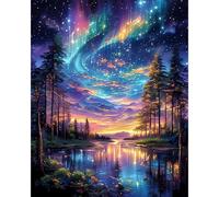 Fountor Starry Sky Paint by Numbers for Adults, Starry Night Landscape Adult Paint by Numbers Canvas Kits Without Frame, DIY Acrylic Number Painting Adults for Gifts Home Wall Decor 16x20 Inch