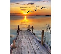 Fountor Sunset Diamond Art Kits Adults Beginner, Lake Diamond Painting Kits for Adults, Landscape 5D DIY Gem Art Kit for Home Wall Decor 30x40 cm