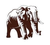 Four African Elephant Clipart Mural and Wall Vinyl Decal 67.2x73.6cm Personalized Customization Coffee