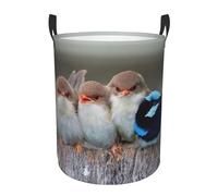 Four Birds Print circular Laundry Basket/Foldable Dirty Clothes Storage Hamper,Water Resistant, For Bedroom Bathroom Storage Bins
