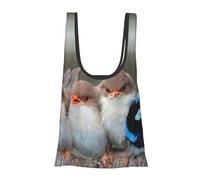 Four Birds Print Foldable Reusable Grocery Bag Lightweight Shopping Tote for Groceries Travel Beach Eco-Friendly Compact Adventure Tote