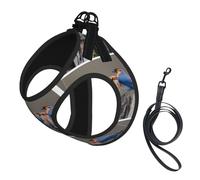 Four Birds Small Pet Harness Vest - Full Print Design, Adjustable and Reflective for Safety, Suitable for Small Cats and Dogs Pet leash vest