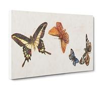 Four Butterflies By Fujishima Takeji Canvas Print | Gallery Wrapped 30mm Frame Wall Art | 24x16 inches | Ready to Hang | Asian Picture | Living Room Bedroom Lounge Office