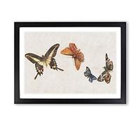 Four Butterflies by Fujishima Takeji Framed Print | A2 Black Framed Wall Art | Ready to Hang | Modern Nature Picture | Living Room Bedroom Lounge Office