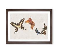 Four Butterflies by Fujishima Takeji Framed Print | A2 Walnut Framed Wall Art | Ready to Hang | Modern Nature Picture | Living Room Bedroom Lounge Office