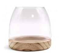 Four Candle Medium 15X15Cm Glass Terrarium With Natural Tung Wood Base - Open-Top Display
