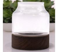 Four Candle Medium Shaped Glass Terrarium On Dark Tung Wood Base, 16X18Cm