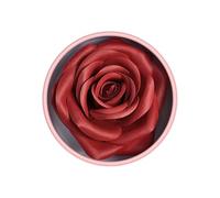Four Color 3D Rose Petal Multiple Color Options Long Lasting Color Development No Fading Easy To Sahngse Hql136 (A, 9x9x7cm)