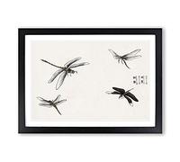 Four Dragonflies by Morimoto Toko Framed Print | A2 Black Framed Wall Art | Ready to Hang | Modern Nature Picture | Living Room Bedroom Lounge Office