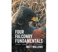 Four Falconry Fundamentals