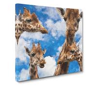 Four Giraffes Canvas Print | Gallery Wrapped 30mm Frame Wall Art | 14x14 inches | Ready to Hang | Modern Animal Picture | Living Room Bedroom Lounge Office