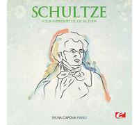 Four Impromptus Op. 90 D.899