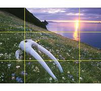 Four Kinds of Light in Landscapes