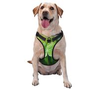 Four-Leaf Clover Large Printed pet Traction Vest for Pets to wear When Walking The Dog or Climbing Mountains