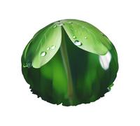four-leaf clover Printed shower cap, reusable, specially designed for women's long hair, double-layer structure, suitable for bathing.