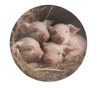 Four Little Pigs Fridge Magnets for Home, Magnetic Refrigerator Sticker for Whiteboard, Circle Waterproof Fridge Magnet for Refrigerator, Locker, Car Garage, Office Decor 4 PCS
