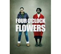 Four O'Clock Flowers
