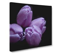 Four Purple Tulips Canvas Print | Gallery Wrapped 30mm Frame Wall Art | 20x20 inches | Ready to Hang | Modern Floral Picture | Living Room Bedroom Lounge Office