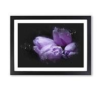 Four Purple Tulips Paint Splash Framed Print | A2 Black Framed Wall Art | Ready to Hang | Modern Nature Picture | Living Room Bedroom Lounge Office
