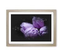 Four Purple Tulips Paint Splash Framed Print | A2 Oak Framed Wall Art | Ready to Hang | Modern Nature Picture | Living Room Bedroom Lounge Office