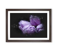 Four Purple Tulips Paint Splash Framed Print | A2 Walnut Framed Wall Art | Ready to Hang | Modern Nature Picture | Living Room Bedroom Lounge Office