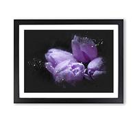 Four Purple Tulips Paint Splash Modern Art Framed Print | A2 Black Framed Wall Art | Ready to Hang | Modern Nature Picture | Living Room Bedroom Lounge Office