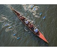 Four Qualities of a Successful Team