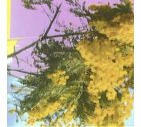 Four Tet - Into Dust (Still Falling) [VINYL]