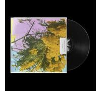 Four Tet - Into Dust (Still Falling) [VINYL]