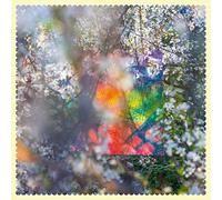 Four Tet - Sixteen Oceans
