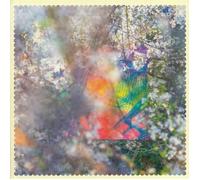 Four Tet - Sixteen Oceans [2LP Repress]