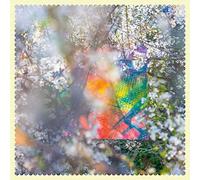 Four Tet Sixteen Oceans (CD) Album