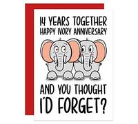 Fourteenth Anniversary Card, Wedding Anniversary A6 Card, Ivory Anniversary, Funny Card, Elephant Pun Card, Card for Husband, Card for Wife, Fourteen Year Card (Ivory 14 Year)