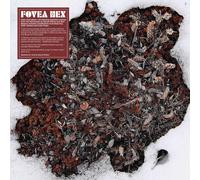 Fovea Hex : The Salt Garden (Landscaped) VINYL 12" Album with CD 2 discs (2021)