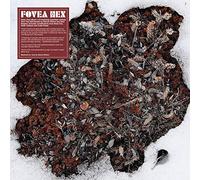Fovea Hex - The Salt Garden (Landscaped) [VINYL]