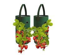 FOVERN1 Strawberry Grow Bags, 2 Pack 10 Gallon Gardens Hanging Strawberry Planter, Multifunction Vegetable Flower Strawberry Plant Grow Bags for Garden Strawberries, Herbs, Flowers (22 x 38cm)