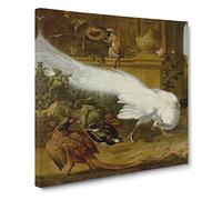 Fowls And A White Peacock by Melchior d'Hondecoeter Canvas Print | Gallery Wrapped 30mm Frame Wall Art | 14x14 inches | Ready to Hang | Classic Picture | Living Room Bedroom Lounge Office
