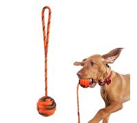 Fowybe Dog Rope Toys,Dog Training Ball On A Rope Happy Playtime - Interactive Chewing Rope Ball Toys Vibrant Colors Exercise and Reward Tool, Washable Durable Chew Training Pull Throw Toy