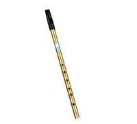 Fowybe Irish Whistle Kit for Beginners Traditional Tin Whistle Key D C Making Beautiful Songs Easy Storage Irish Tin Conversations