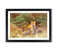 Fox and Cubs by Bruno Liljefors Framed Print | A2 Black Framed Wall Art | Ready to Hang | Modern Animal Picture | Living Room Bedroom Lounge Office