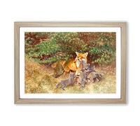 Fox and Cubs by Bruno Liljefors Framed Print | A2 Oak Framed Wall Art | Ready to Hang | Modern Animal Picture | Living Room Bedroom Lounge Office